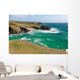 Plage Baluden Belle Ile Wall Decal