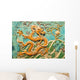 Golden Dragon Wall Beijing Wall Decal