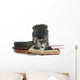Reading Miniature Schnauzer Puppy Wall Decal