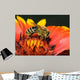 Bee Wall Decal