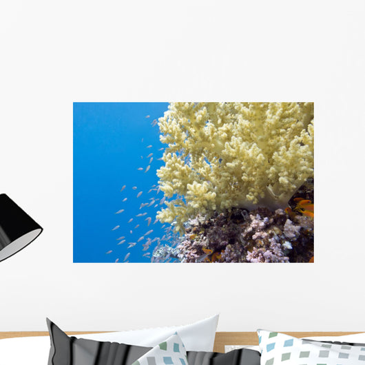 Tropical Sea Coral Underwater Wall Decal