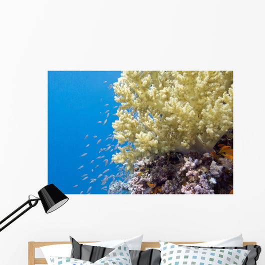 Tropical Sea Coral Underwater Wall Decal