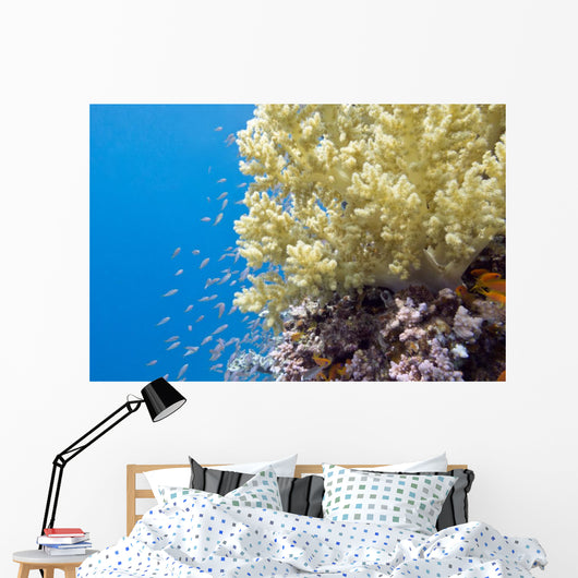 Tropical Sea Coral Underwater Wall Decal