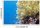 Tropical Sea Coral Underwater Wall Decal