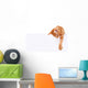 Cat Banner Sign Wall Decal