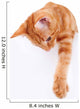 Cat Banner Sign Wall Decal