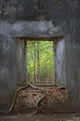 Window Old Temple Wall Decal