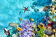 Underwater world with corals and tropical fish. Wall Mural