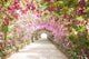 Footpath Botanical Garden with Wall Decal