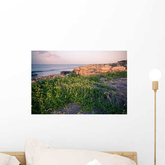 Nature of Northern Cyprus Wall Mural