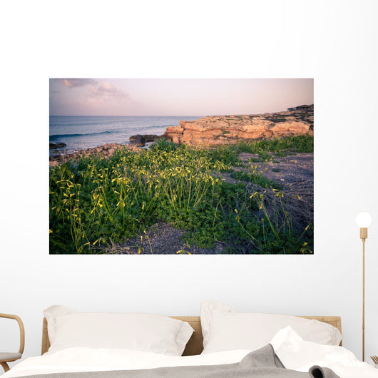 Nature of Northern Cyprus Wall Mural