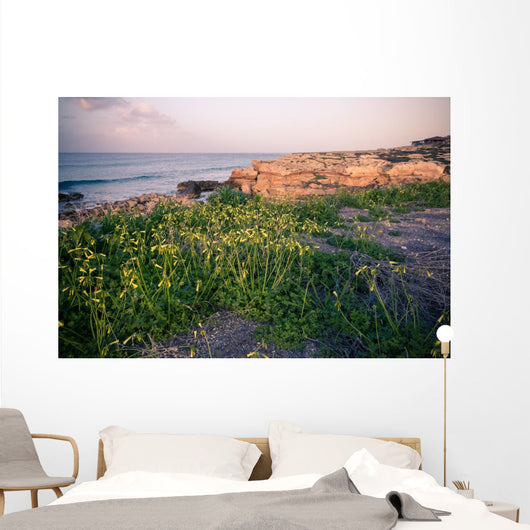 Nature of Northern Cyprus Wall Mural