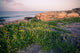 Nature of Northern Cyprus Wall Mural