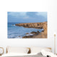 Nature of Northern Cyprus Wall Mural