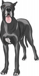 Vector Great Dane Wall Decal