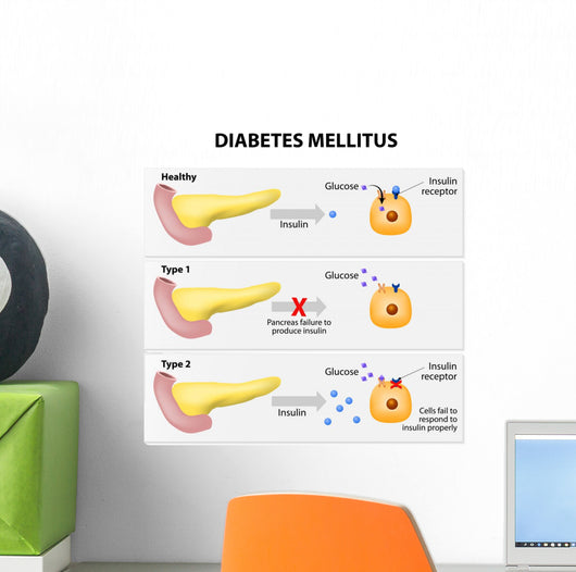 Diabetes Mellitus Wall Decal