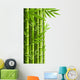 Green Bamboo Grove White Wall Decal
