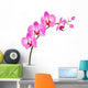 Branch Pink Orchid White Wall Decal