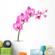 Branch Pink Orchid White Wall Decal