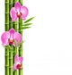 Orchid Pink Flowers with Wall Decal