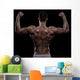 Young Athlete Bodybuilder from Wall Decal
