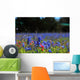 Bluebonnet Fever Wall Decal