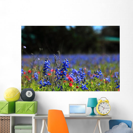 Bluebonnet Fever Wall Decal