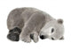 Polar Bear Cub Wall Decal
