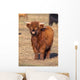 Full Resolution Portrait Highland Wall Decal