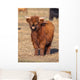 Full Resolution Portrait Highland Wall Decal