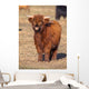 Full Resolution Portrait Highland Wall Decal