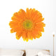 Yellow Flower Gerber White Wall Decal