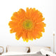 Yellow Flower Gerber White Wall Decal