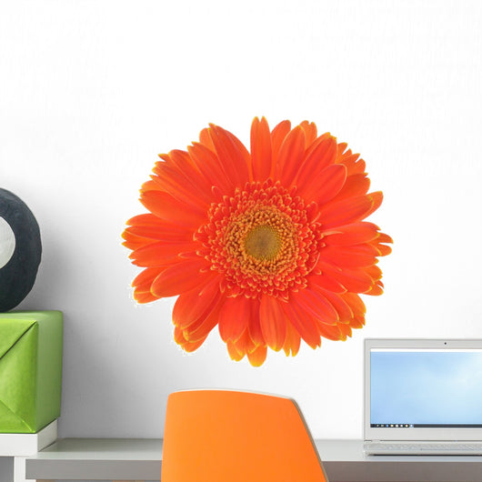 Orange Flower Gerber White Wall Decal