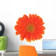 Orange Flower Gerber White Wall Decal