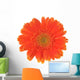 Orange Flower Gerber White Wall Decal