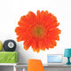 Orange Flower Gerber White Wall Decal