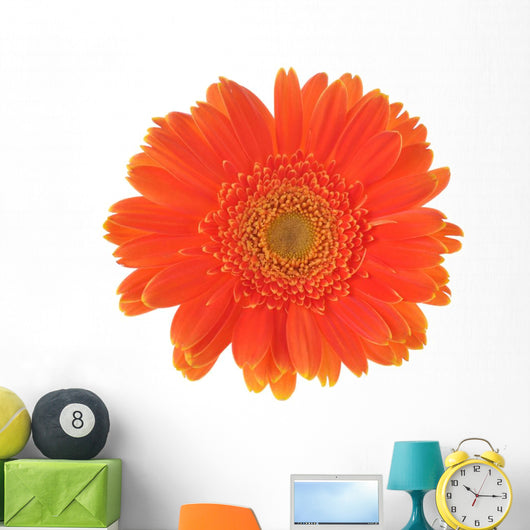 Orange Flower Gerber White Wall Decal