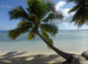 Moorea Wall Mural