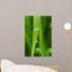 Dew Drops Fresh Green Wall Decal