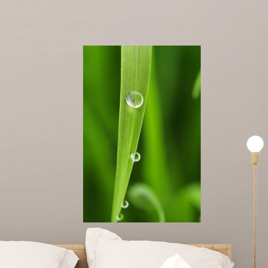 Dew Drops Fresh Green Wall Decal