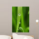 Dew Drops Fresh Green Wall Decal