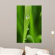 Dew Drops Fresh Green Wall Decal