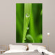 Dew Drops Fresh Green Wall Decal
