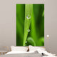 Dew Drops Fresh Green Wall Decal