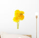 Dandelions White Wall Decal