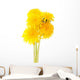 Dandelions White Wall Decal
