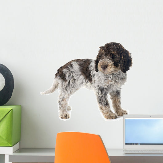 Romagna Water Dog Wall Decal