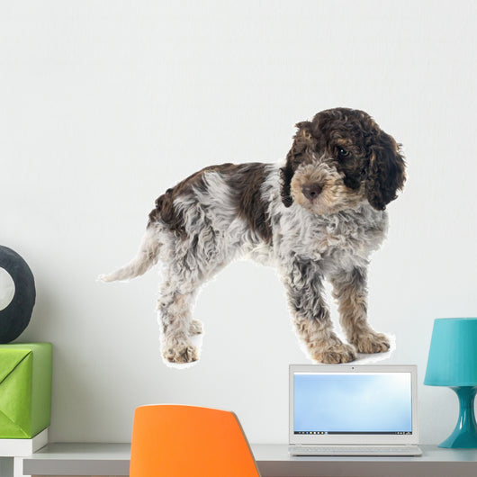 Romagna Water Dog Wall Decal