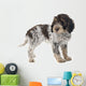 Romagna Water Dog Wall Decal